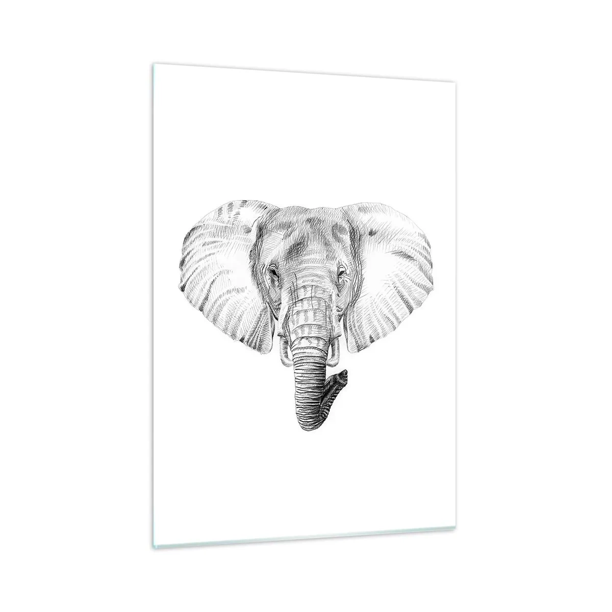 Obraz na szkle - Czarno-biały rysunek głowy słonia na białym tle - 50x70cm - "Był sobie słoń, wielki jak - słoń" - Nowoczesna dekoracja ścienna do salonu, kuchni i sypialni ARTTOR