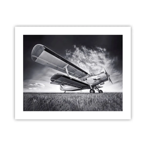 Plakat - Skrzydlaty wędrowiec - 50x40 cm