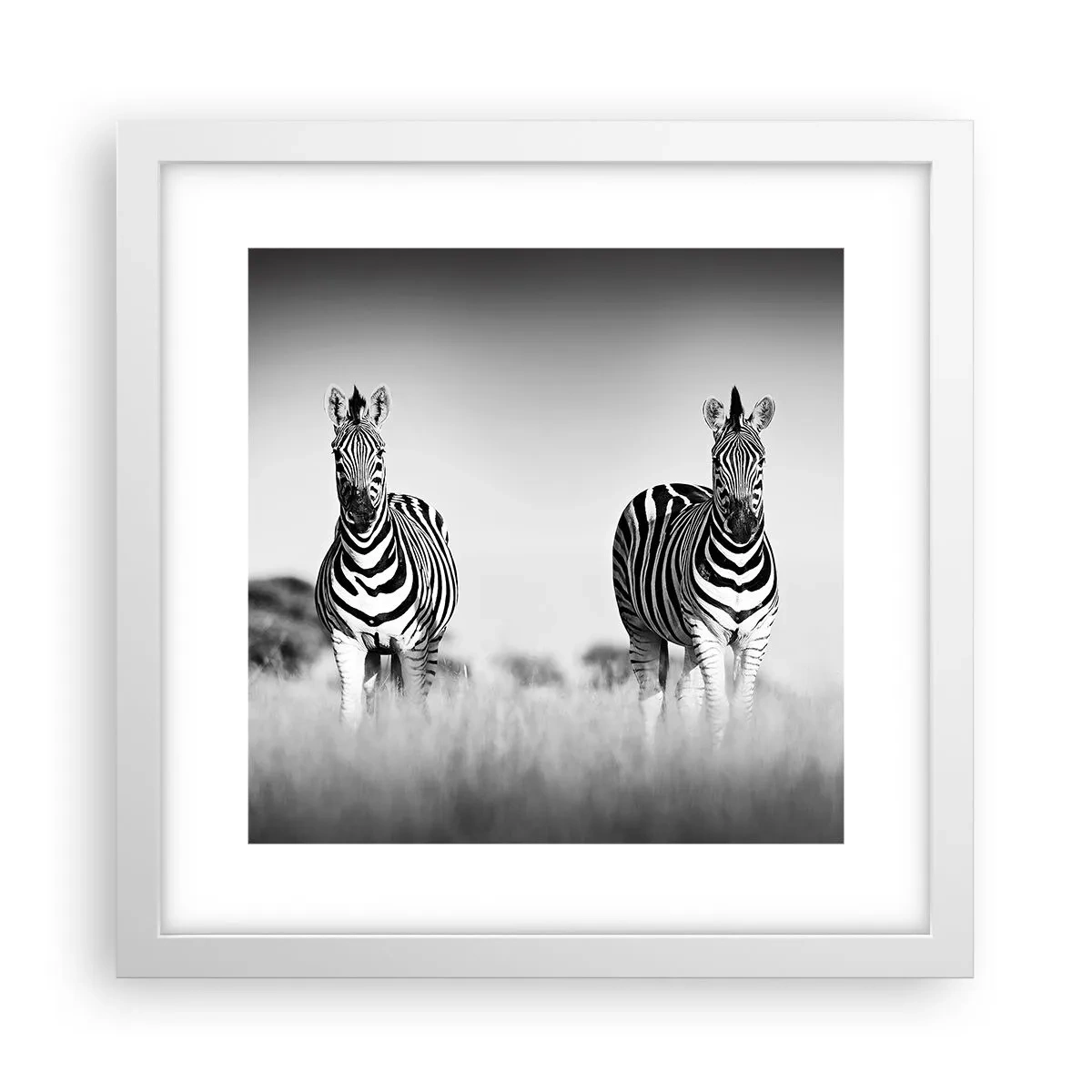 Plakat w białej ramie - A jednak świat jest czarno-biały - 30x30 cm