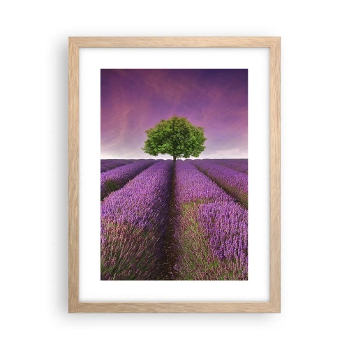 Plakat w ramie jasny dąb - Na lawendowych polach - 30x40 cm