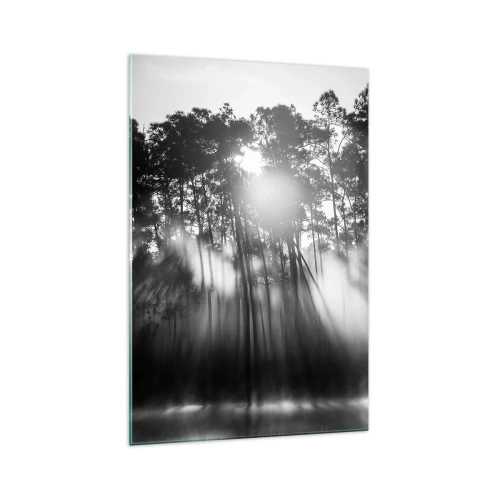Obraz na szkle - Czarno-biały las w porannej mgle - 70x100cm - Niepowstrzymane słońce - Nowoczesna dekoracja ścienna do salonu i sypialni ARTTOR