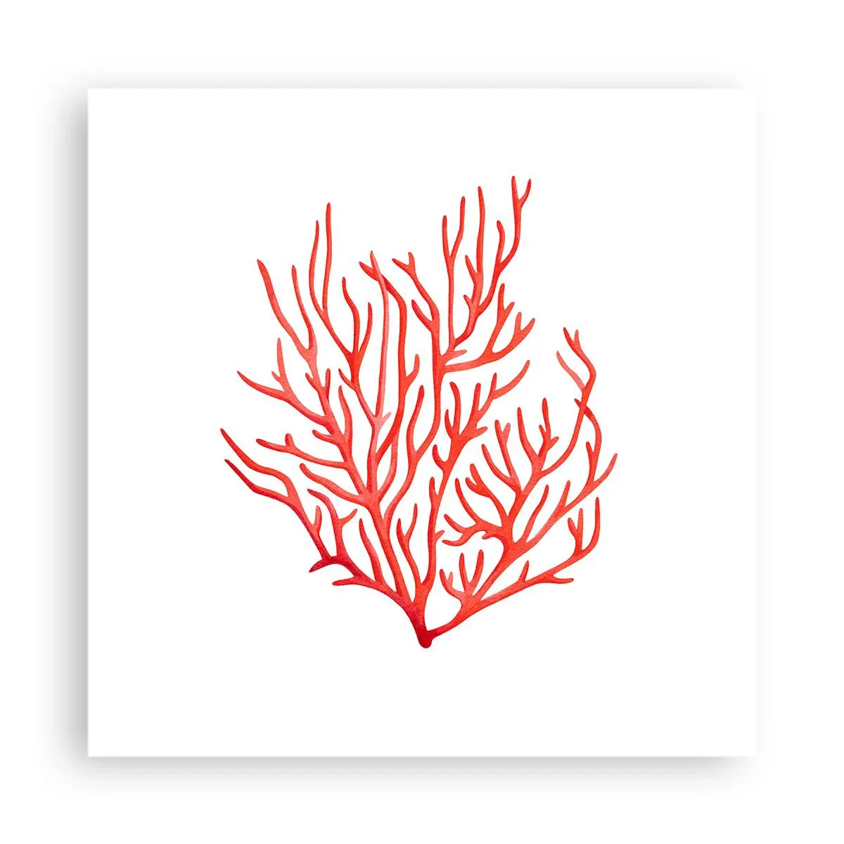 Plakat - Koralowy filigran - 40x40 cm