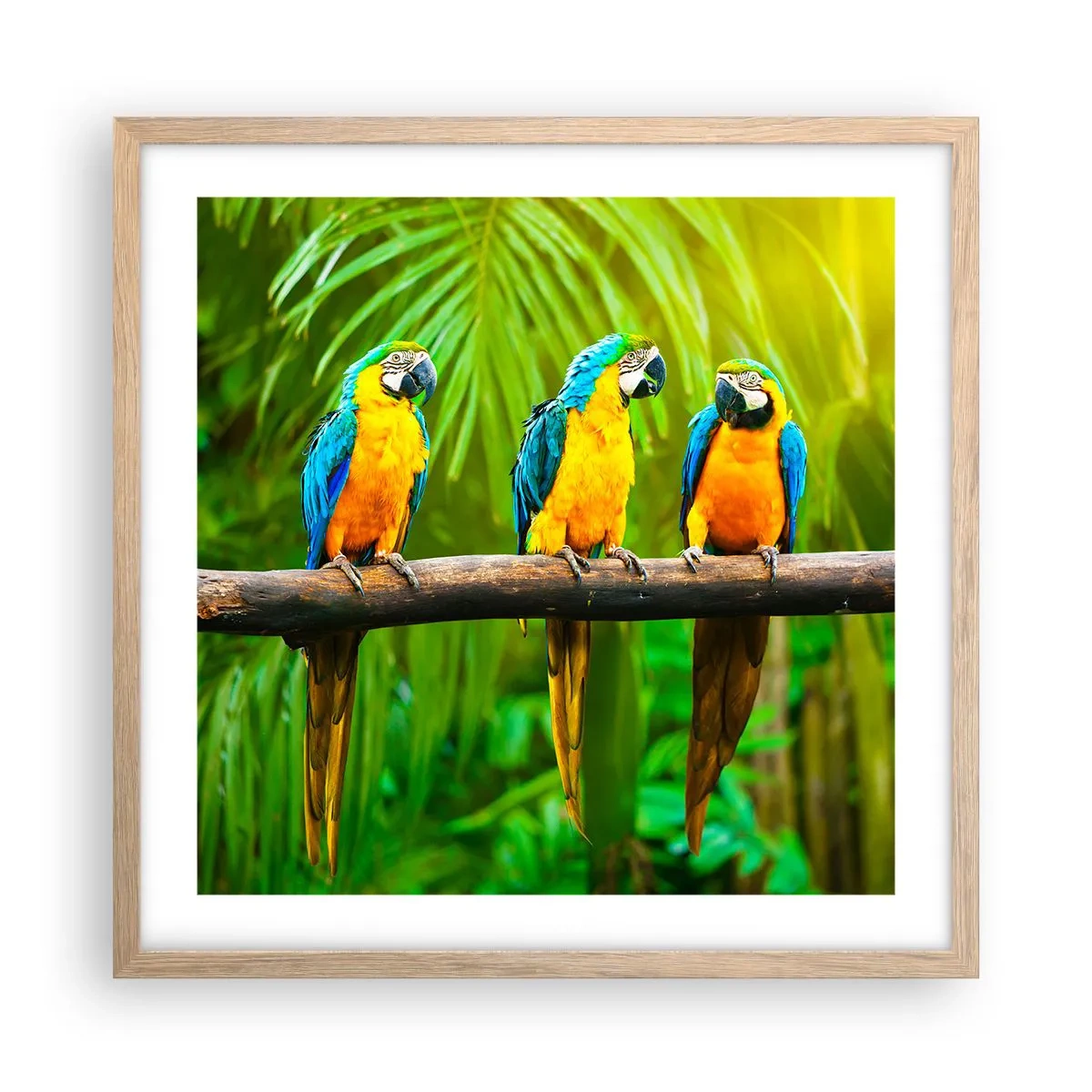 Plakat w ramie jasny dąb - A słyszałaś, że ona…? - 50x50 cm