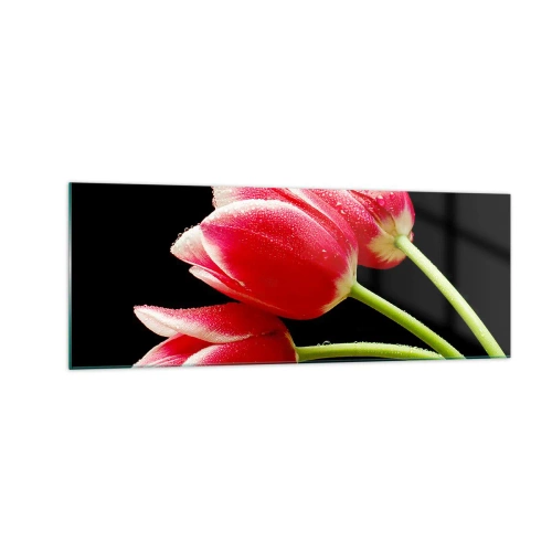 Obraz na szkle - Czerwone tulipany z kroplami rosy na czarnym tle - 140x50cm - Obietnica czystej miłości - Nowoczesna dekoracja ścienna do salonu i sypialni ARTTOR