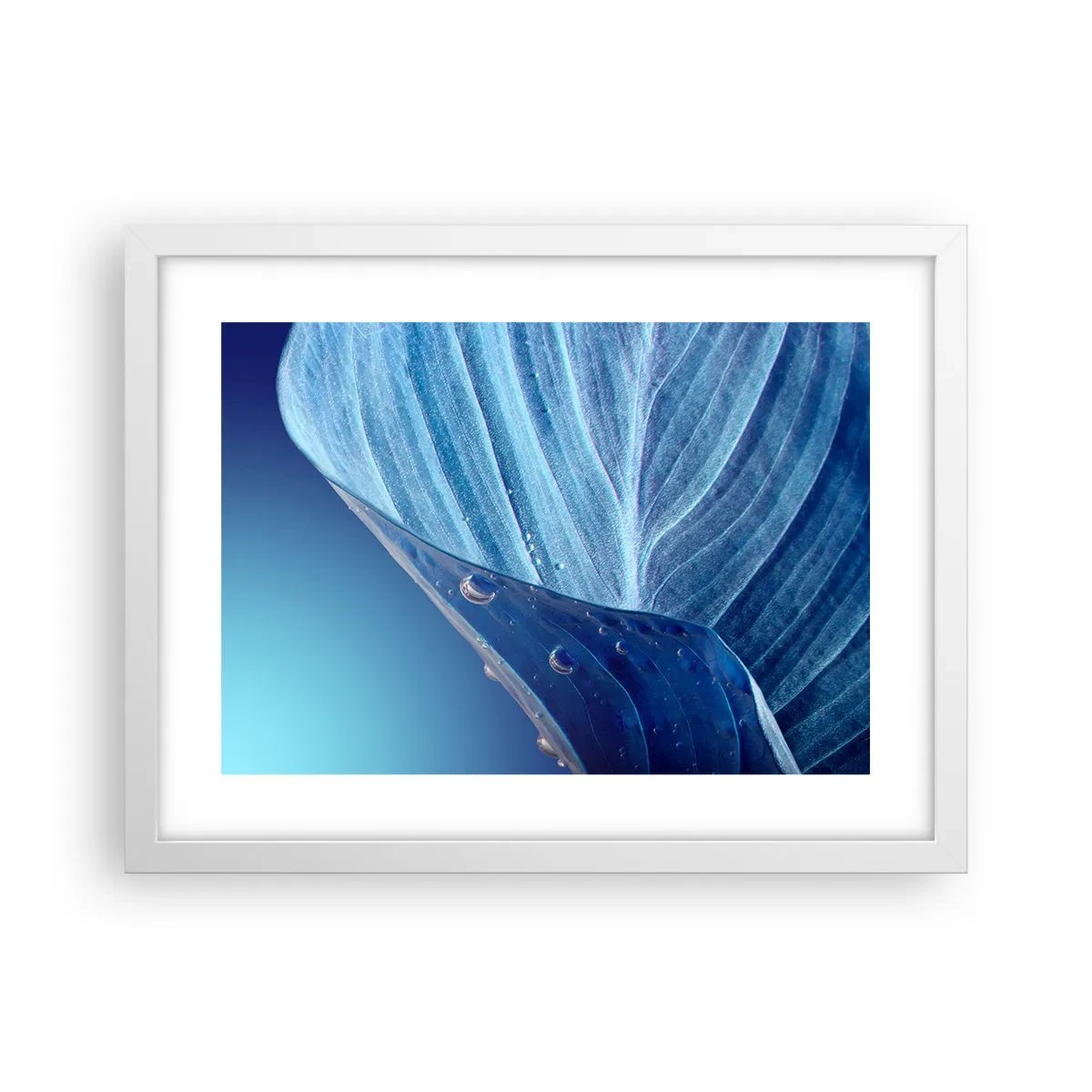 Plakat w białej ramie - Ukryte krople błękitu - 40x30 cm