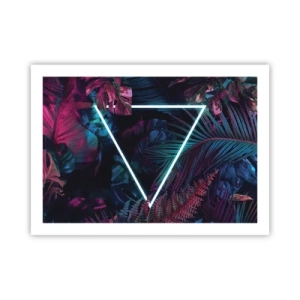 Plakat - Ogród w stylu disco - 70x50 cm
