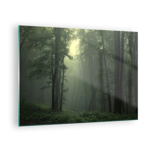 Obraz na szkle - Mroczny las spowity mgłą z promieniami światła - 70x50cm - Zanim się obudzi - Nowoczesna dekoracja ścienna do salonu i sypialni ARTTOR