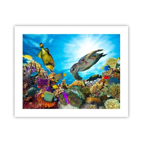Plakat - Koralowa promenada - 50x40 cm