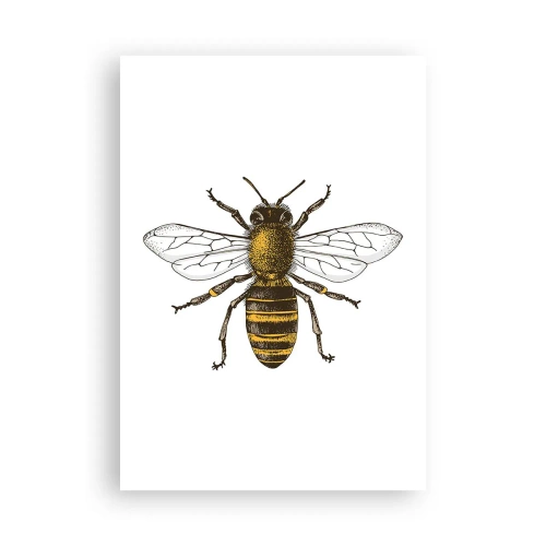 Plakat - Piękna i dobra - 70x100 cm