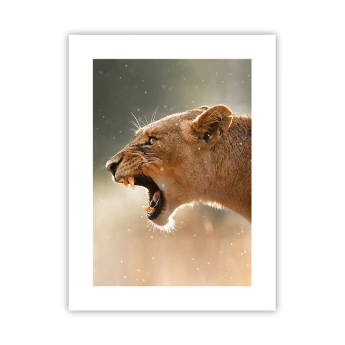 Plakat - Spróbuj nie posłuchać - 30x40 cm