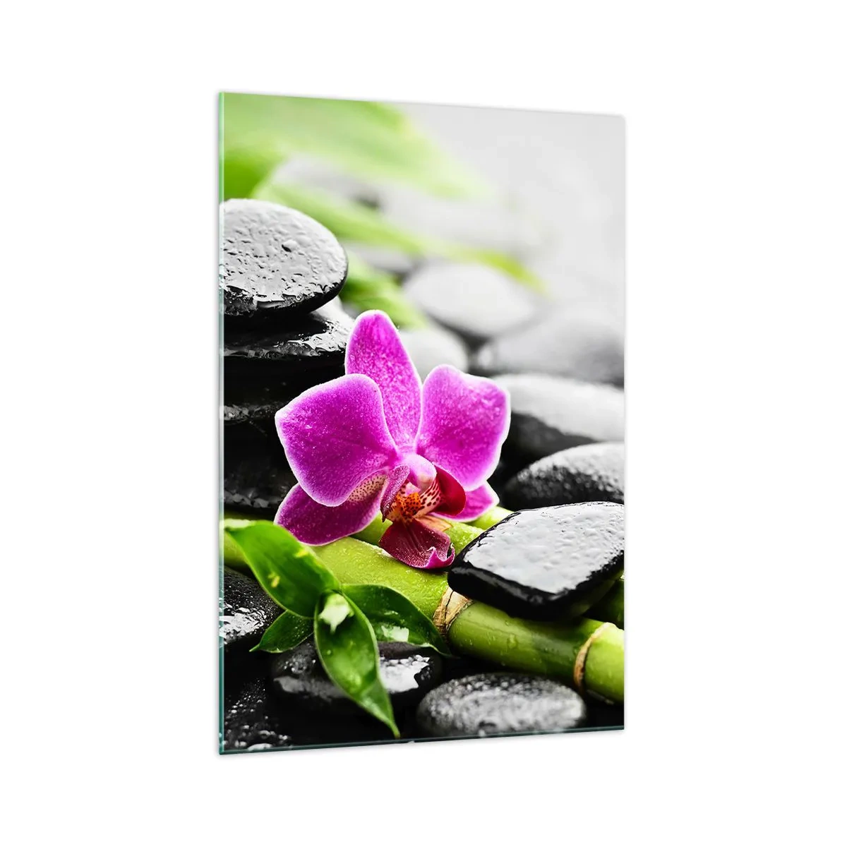 Obraz na szkle - Fioletowa orchidea, czarne kamienie i bambus w spokojnej kompozycji - 70x100cm - W spokojnej równowadze - Nowoczesna dekoracja ścienna do salonu i sypialni ARTTOR
