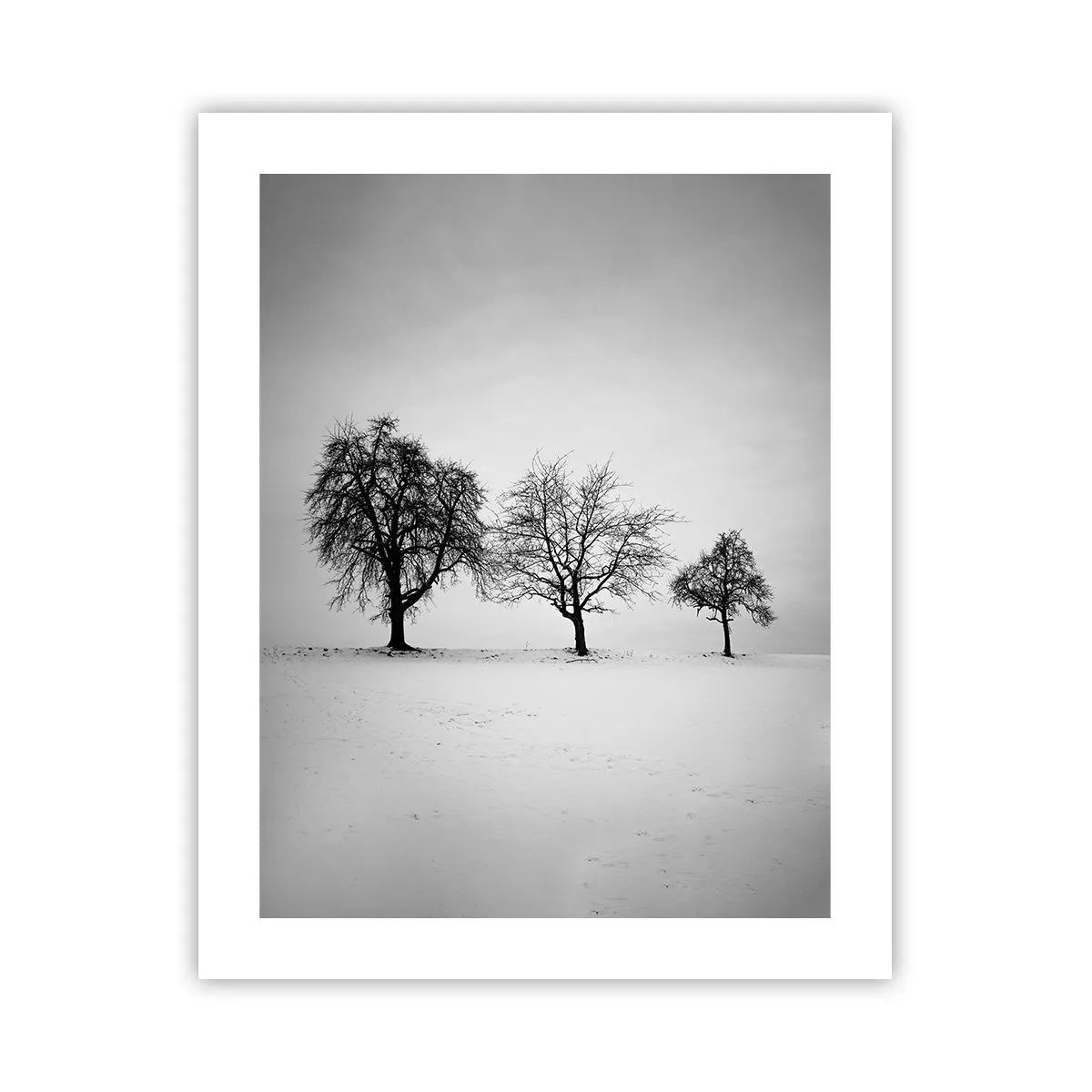 Plakat - O czym śnią? - 40x50 cm