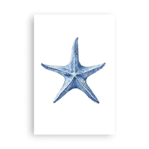 Plakat - Gwiazda morza - 61x91 cm
