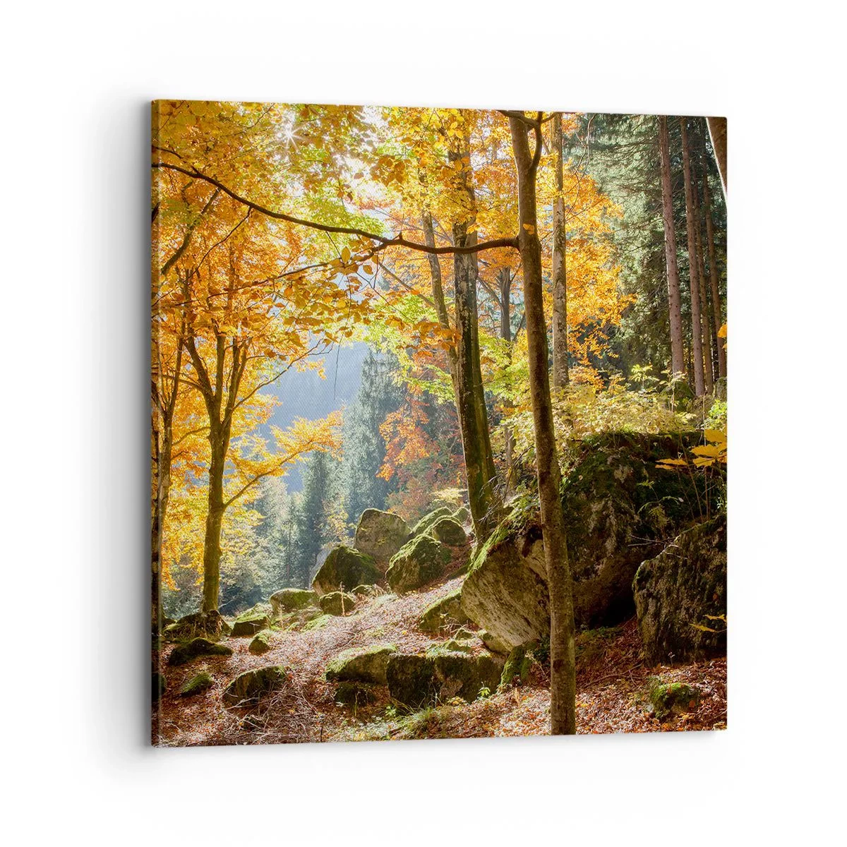 Obraz na płótnie - Czas na odpoczynek - 70x70 cm