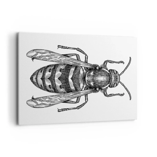 Obraz na płótnie - Rysunkowy motyw osy na białym tle w stylu minimalistycznym - 100x70cm - Z owadziej planety - Nowoczesna dekoracja ścienna do salonu, kuchni i sypialni ARTTOR