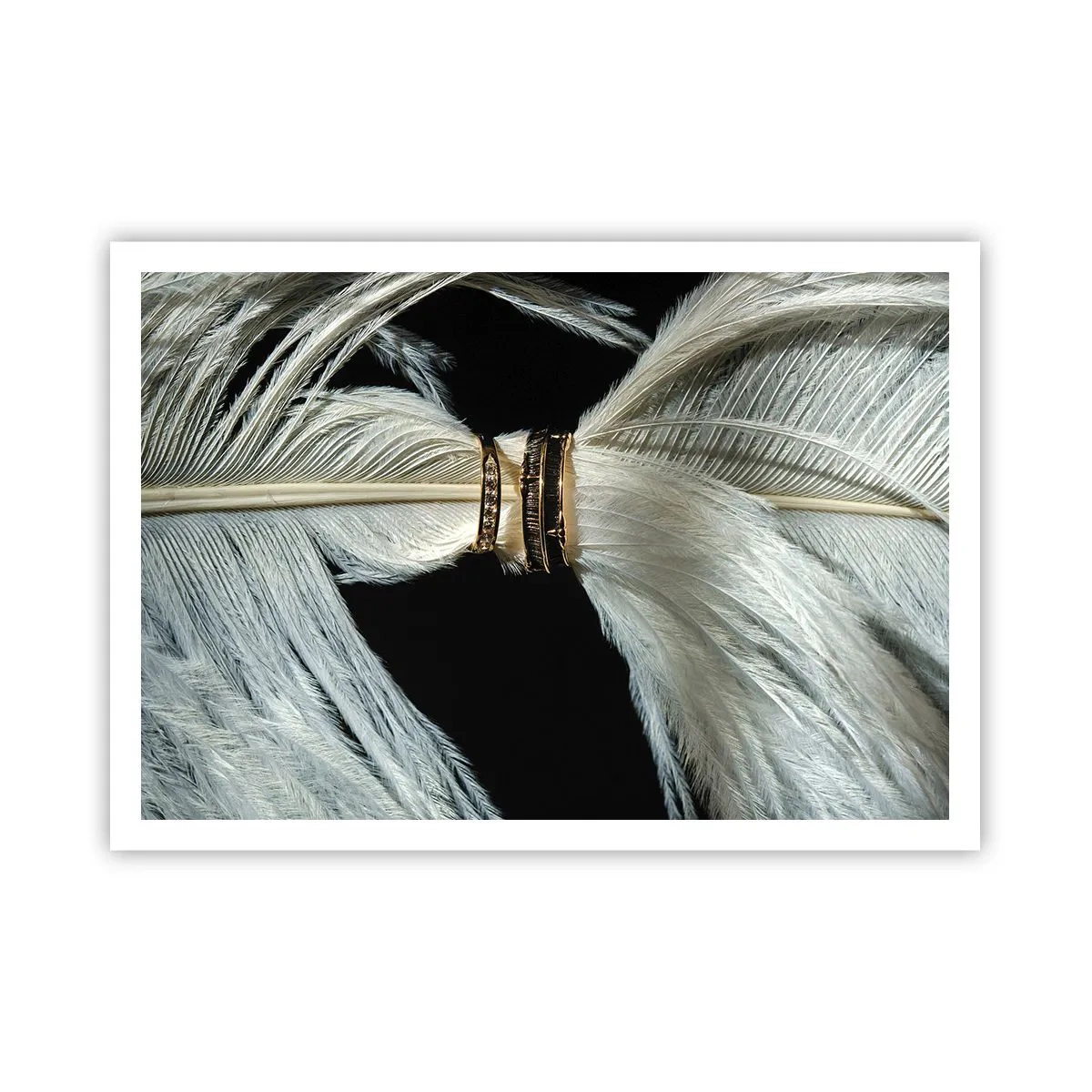 Plakat - Białe pióro z dwoma złotymi obrączkami na czarnym tle - 100x70cm - ...i nie opuszczę Cię… - Nowoczesna dekoracja ścienna do salonu i sypialni ARTTOR