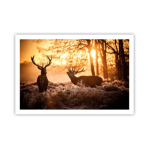 Plakat - Marzenie myśliwego - 91x61 cm