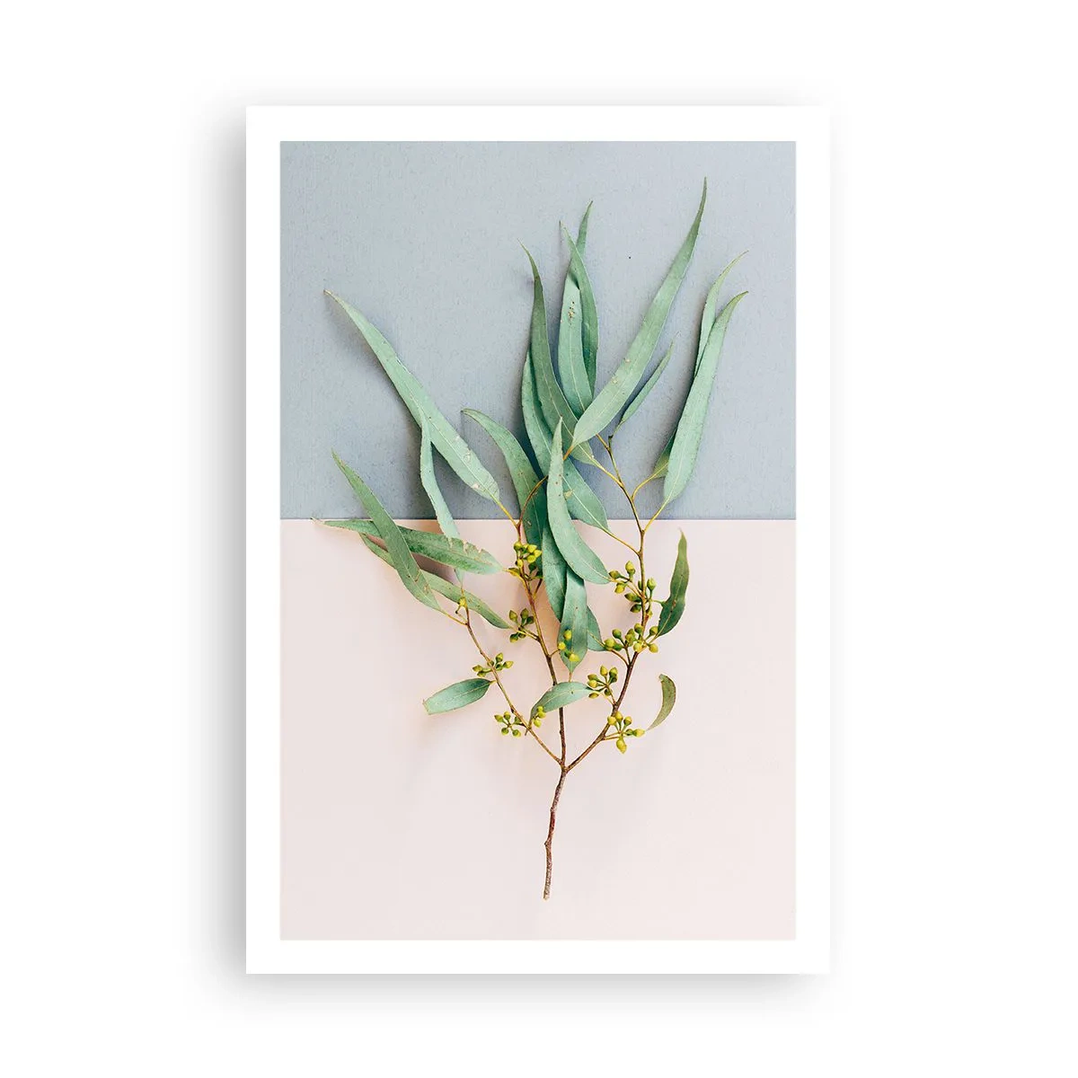 Plakat - Pastelowa subtelność - 61x91 cm