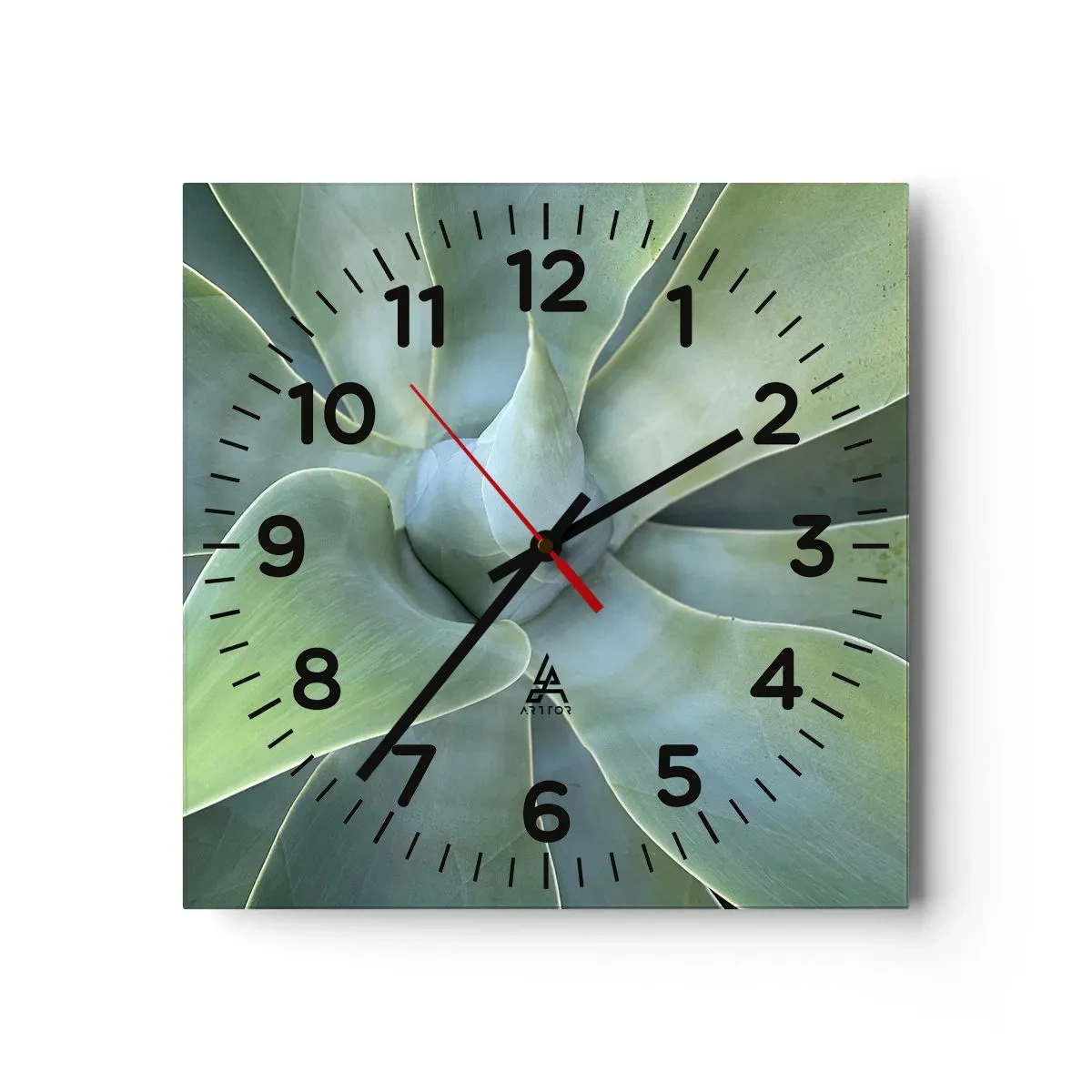 Zegar ścienny - Narodziny zieleni - 40x40 cm