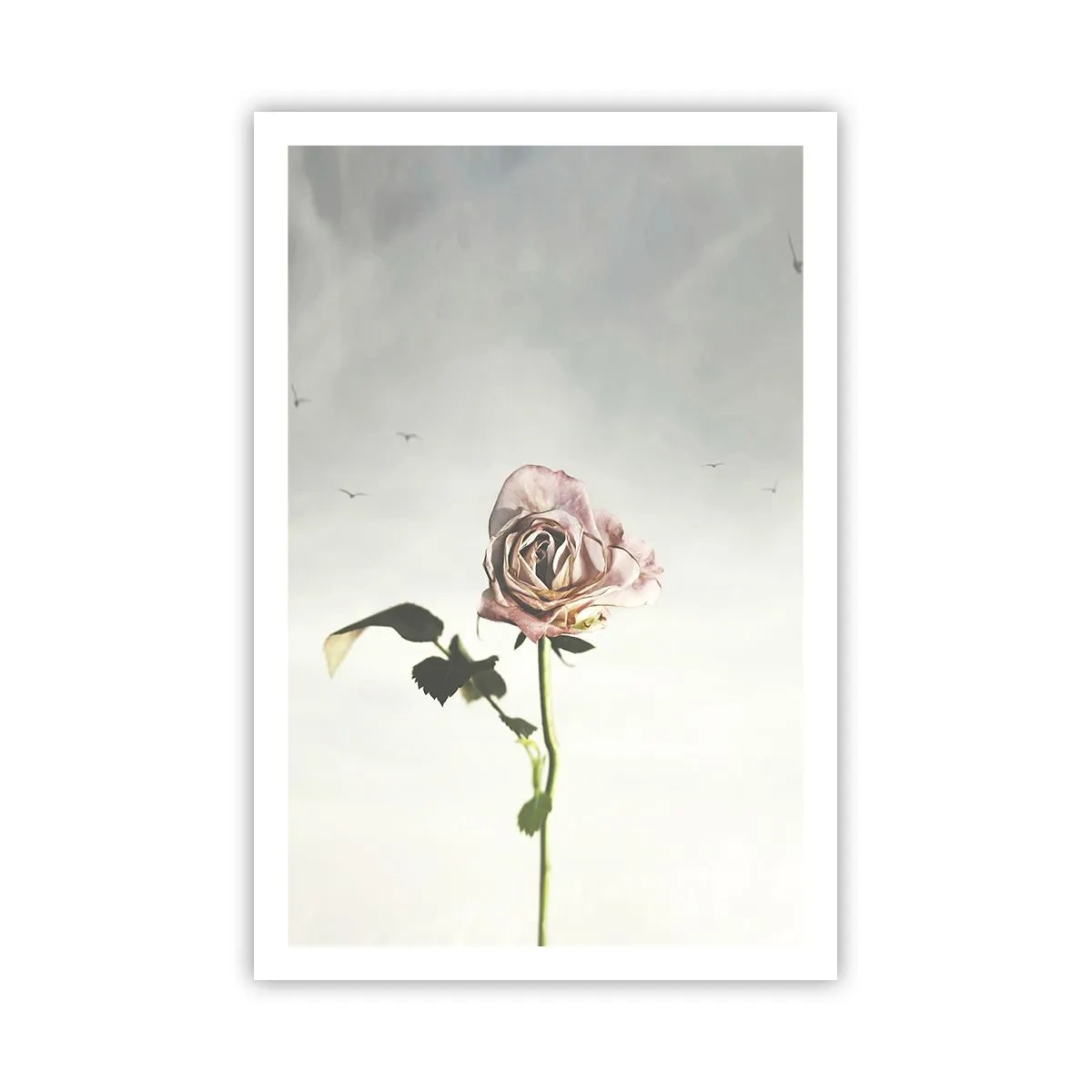 Plakat - Powitanie wiosny - 61x91 cm