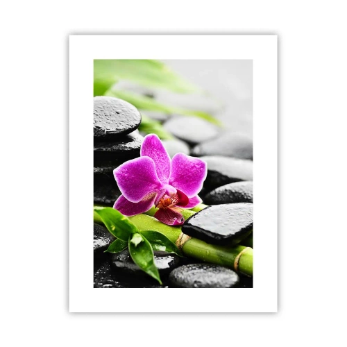 Plakat - W spokojnej równowadze - 30x40 cm