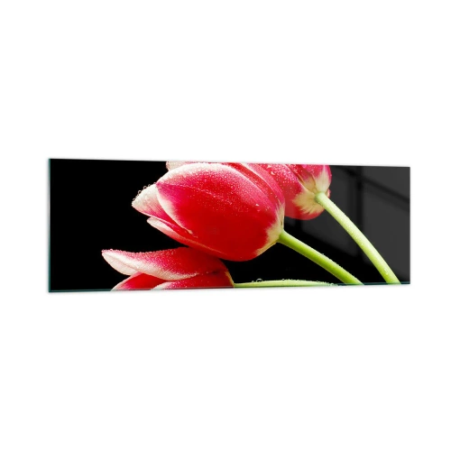 Obraz na szkle - Czerwone tulipany z kroplami rosy na czarnym tle - 160x50cm - Obietnica czystej miłości - Nowoczesna dekoracja ścienna do salonu i sypialni ARTTOR
