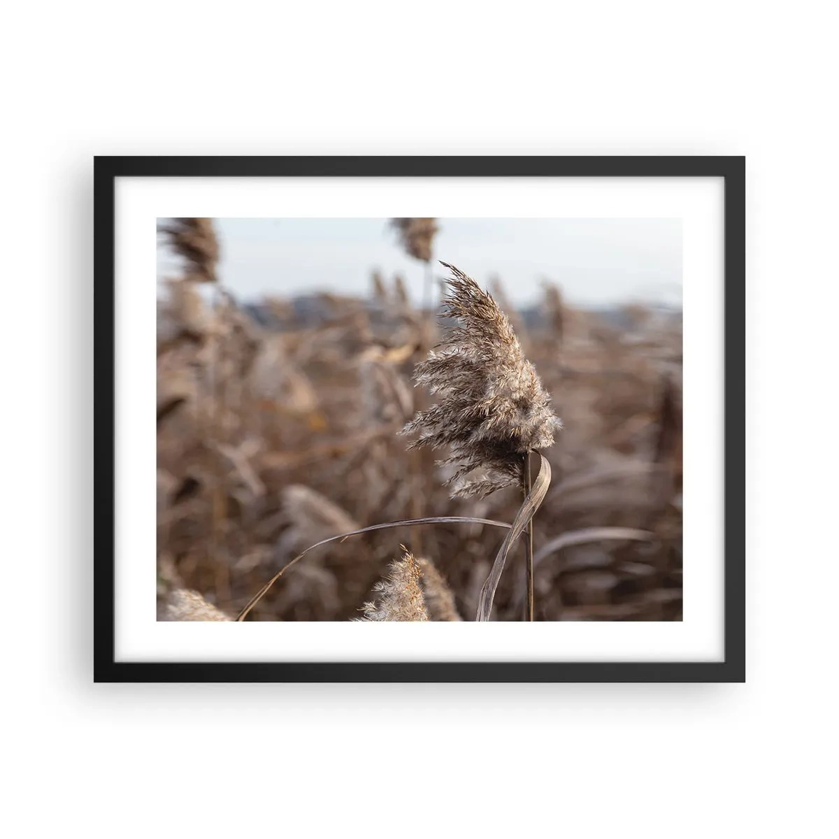 Plakat w czarnej ramie - Czas odlecieć z wiatrem - 50x40 cm