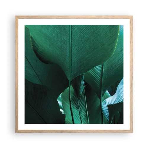 Plakat w ramie jasny dąb - Zwrócone do światła - 60x60 cm