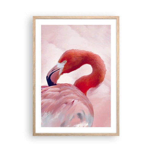 Plakat w ramie jasny dąb - Ptasia uroda - 50x70 cm