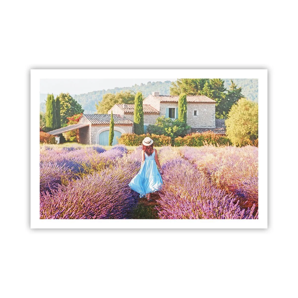 Plakat - Lawendowa dziewczyna - 91x61 cm