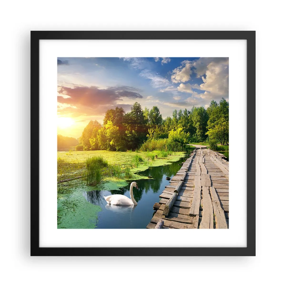 Plakat w czarnej ramie - Lato, lato wszędzie - 40x40 cm