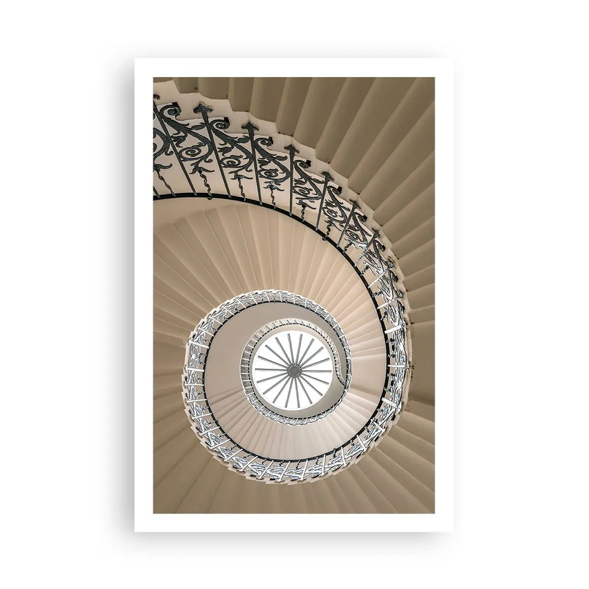 Plakat - W środku muszli - 61x91 cm