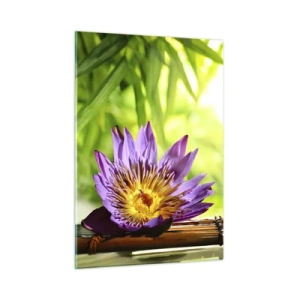 Obraz na szkle - Fioletowy kwiat lotosu na bambusowej desce z zielonym tłem - 50x70cm - W azjatyckim słońcu - Nowoczesna dekoracja ścienna do salonu, kuchni i sypialni ARTTOR