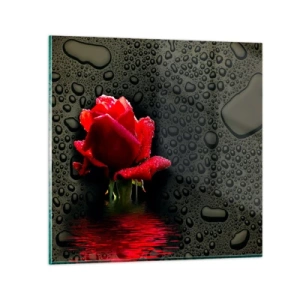 Obraz na szkle - Czerwone i czarne - 30x30 cm