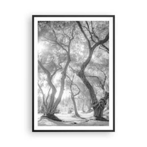 Plakat w czarnej ramie - W oliwnym gaju - 70x100 cm