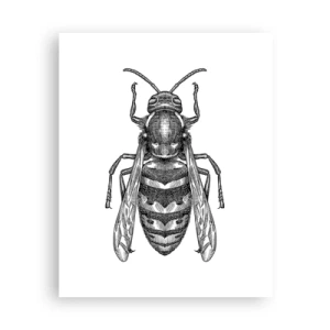 Plakat - Z owadziej planety - 40x50 cm