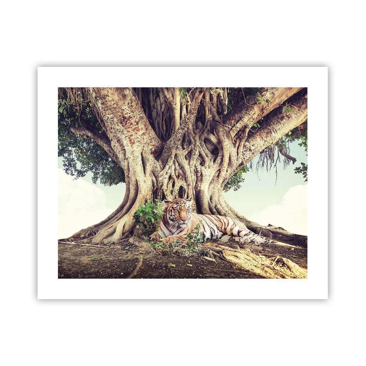 Plakat - Widok z Księgi Rodzaju - 50x40 cm