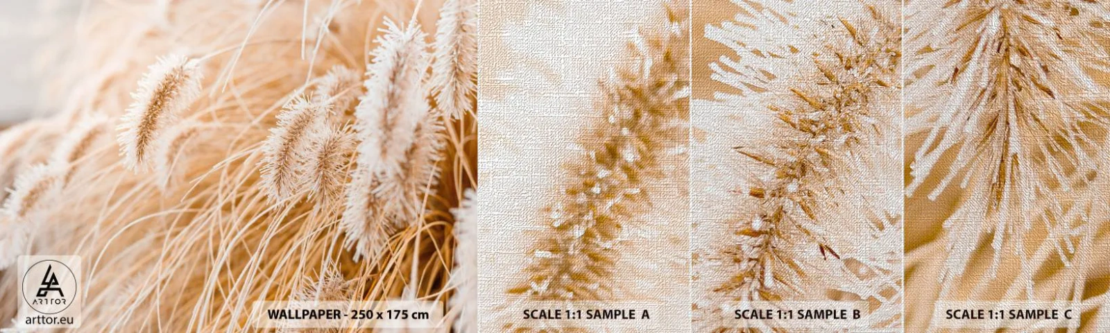 Fototapeta Próbka Premium Canvas - Złoty szelest traw - Trawa Pampasowa, Łąka, Natura - 100x30 cm