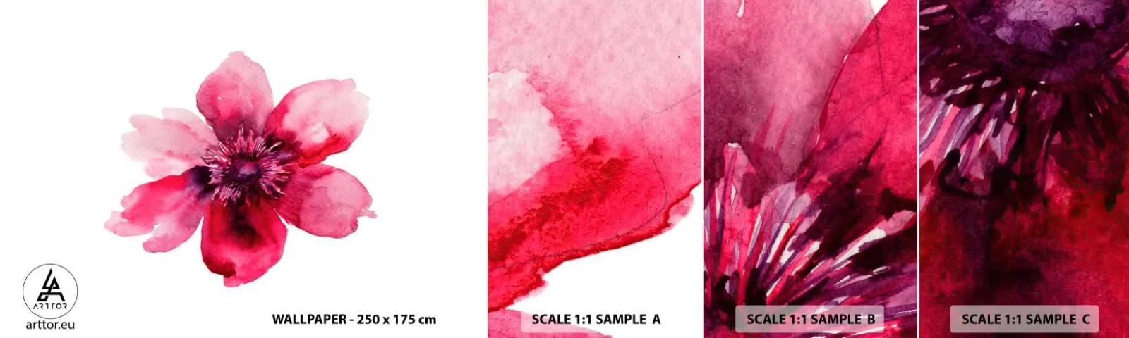 Fototapeta Próbka Standard Eco - Karminowy wonny pocałunek - Kwiat, Akwarele, Grafika - 100x30 cm