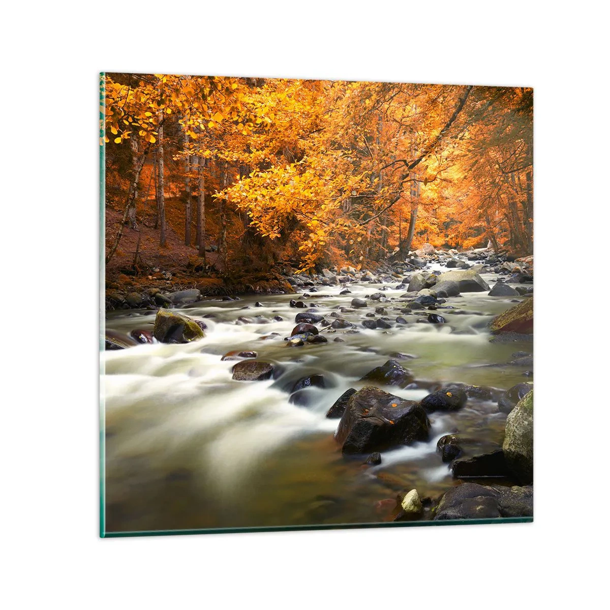 Obraz na szkle - Potok w złotym lesie - 60x60 cm