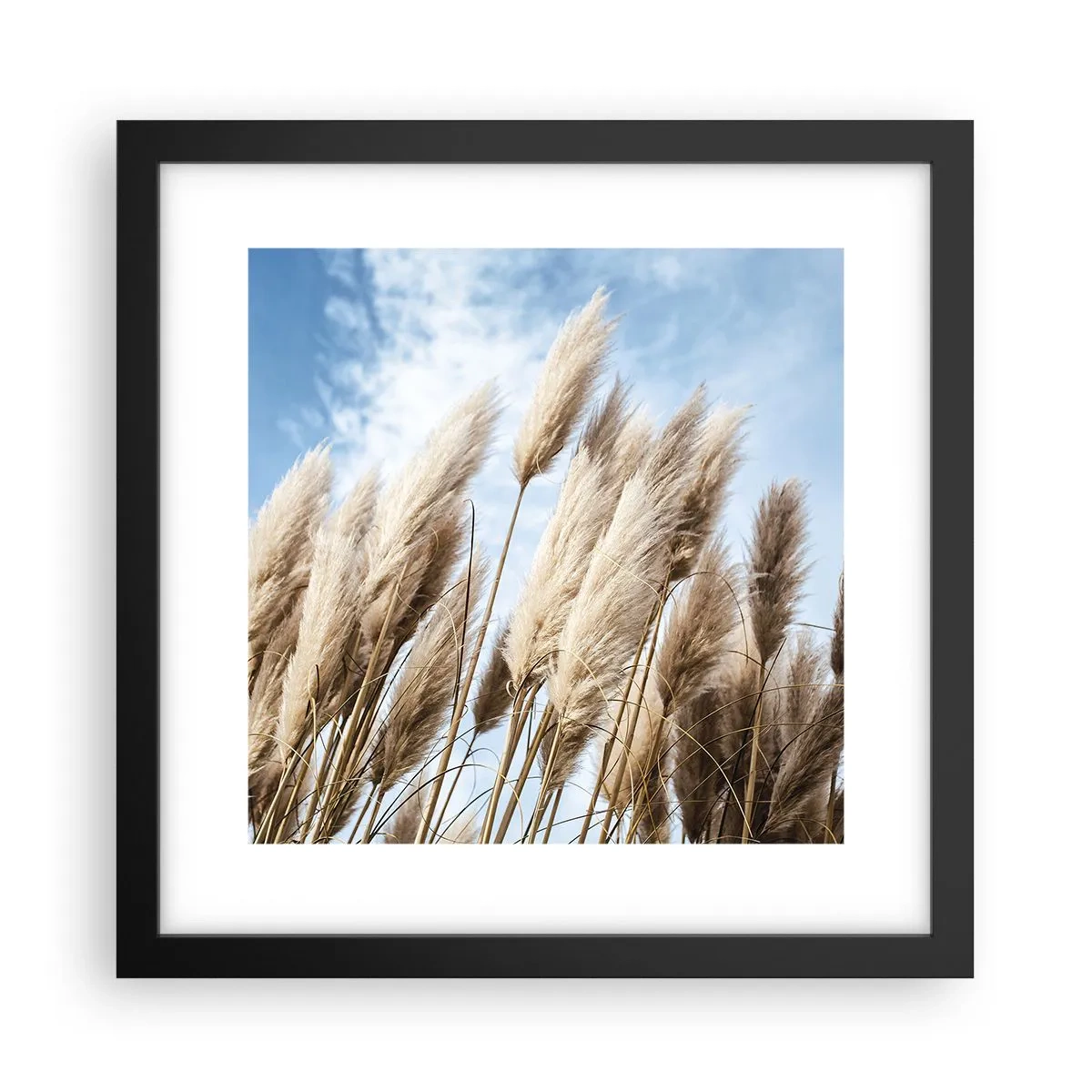 Plakat w czarnej ramie - Słoneczna i wietrzna pieszczota - 30x30 cm