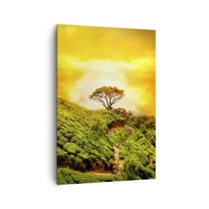 Obraz na płótnie - Zielone wzgórza plantacji herbaty o zachodzie słońca - 70x100cm - Krętą ścieżką, zielonym zboczem - Nowoczesna dekoracja ścienna do salonu i sypialni ARTTOR