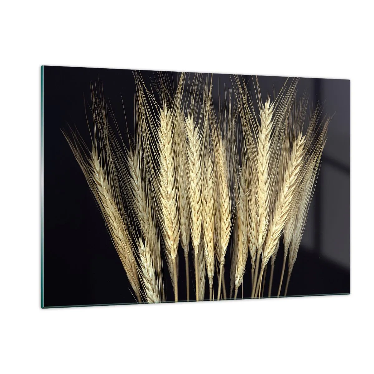 Obraz na szkle - Zboże w ciepłych tonacjach na czarnym tle - 120x80cm - Rustykalna magia - Nowoczesna dekoracja ścienna do salonu, kuchni i sypialni ARTTOR