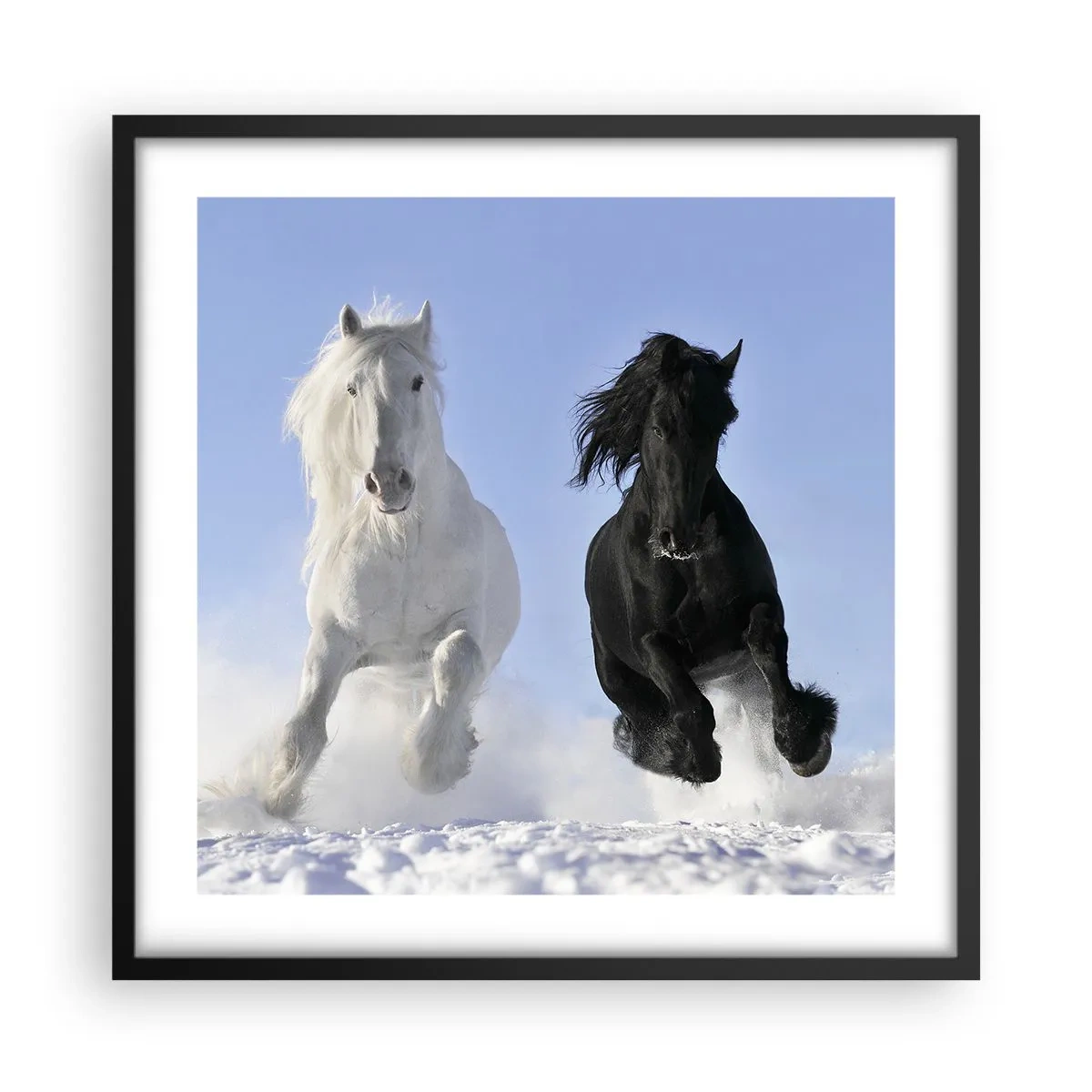 Plakat w czarnej ramie - Czarno-biały galop - 50x50 cm