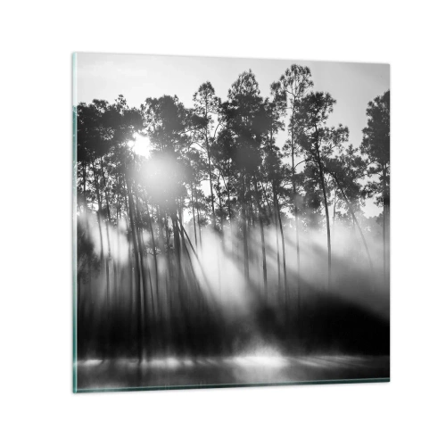 Obraz na szkle - Niepowstrzymane słońce - 60x60 cm