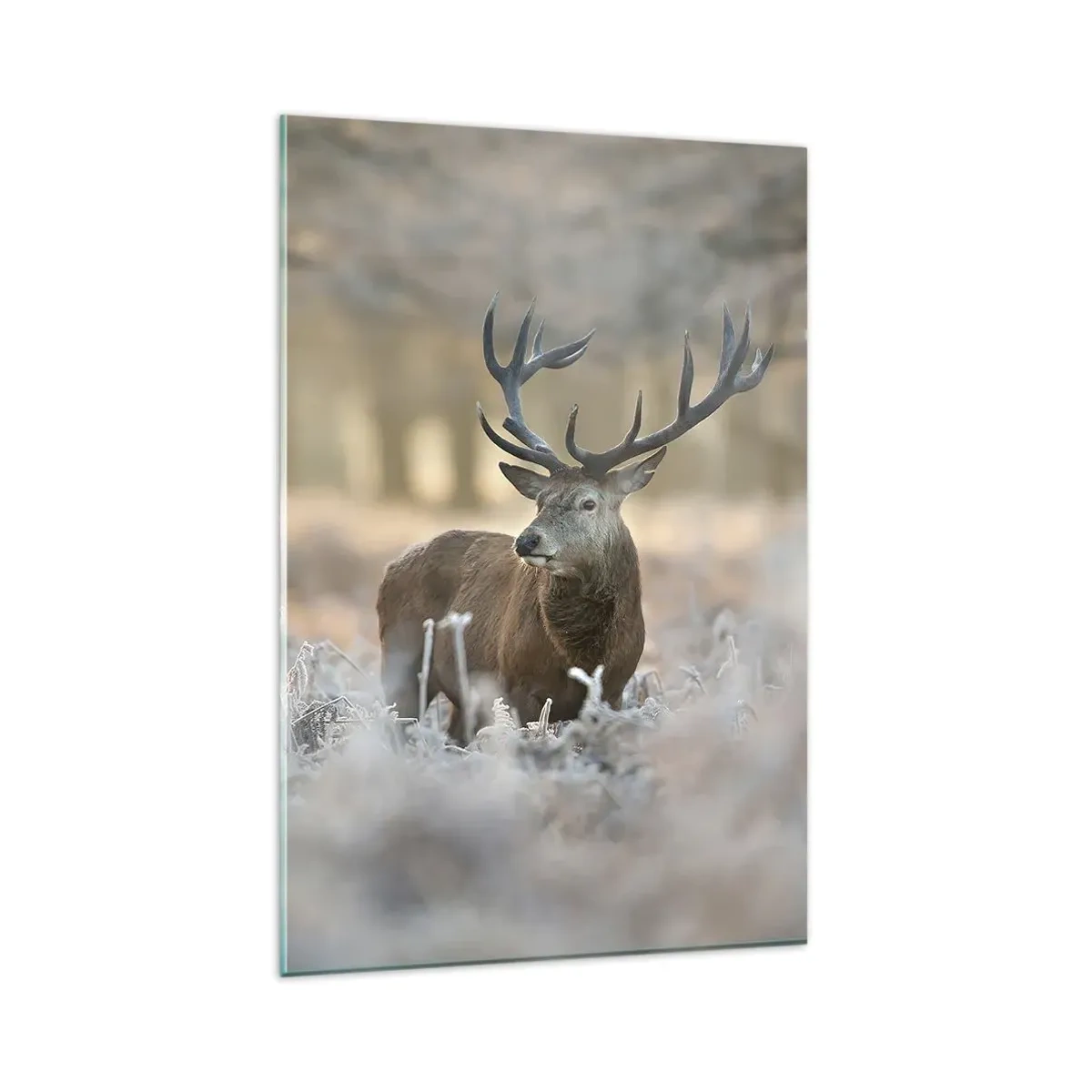Obraz na szkle - Jeleń na mroźnej polanie w zimowym lesie o subtelnych barwach - 80x120cm - Rześki poranek - Nowoczesna dekoracja ścienna do salonu i sypialni ARTTOR