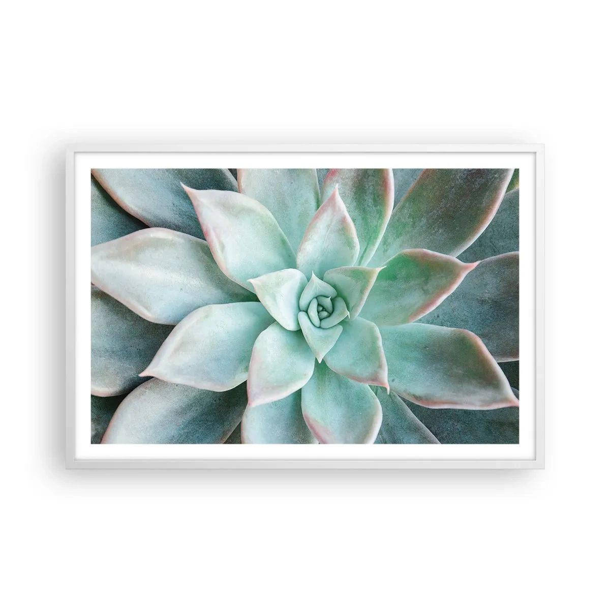 Plakat w białej ramie - Serce pustyni - 91x61 cm