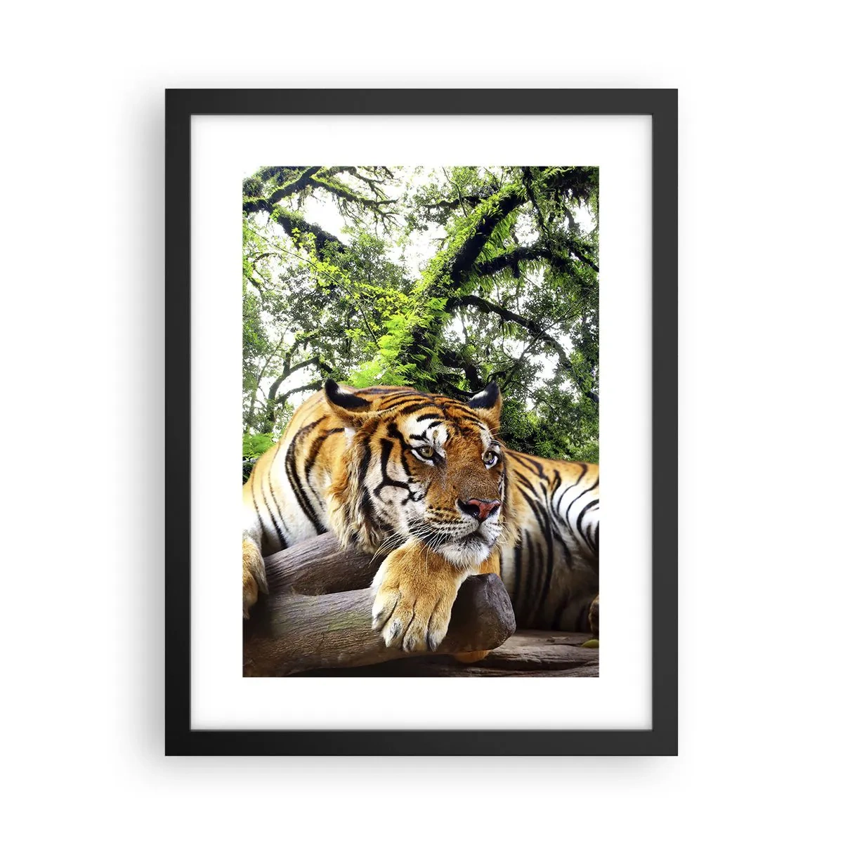 Plakat w czarnej ramie - Z wyrazami szacunku - 30x40 cm