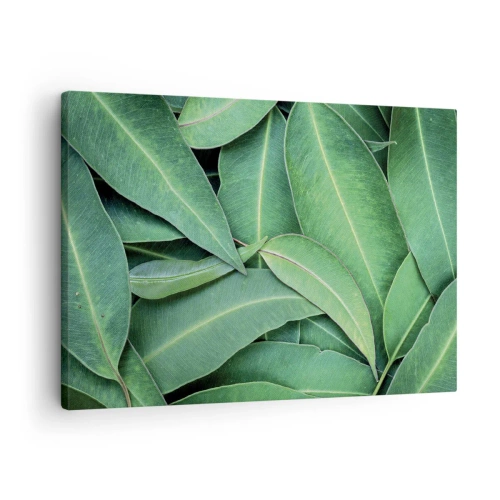 Obraz na płótnie - Zbliżenie na zielone liście tworzące naturalny wzór - 70x50cm - Soczyste i świeże - Nowoczesna dekoracja ścienna do salonu i sypialni ARTTOR