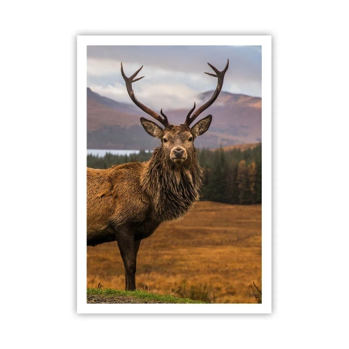 Plakat - Majestat natury - 70x100 cm